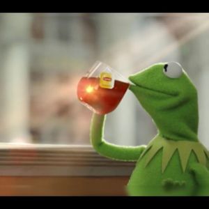 Meet your Posher, Dylan